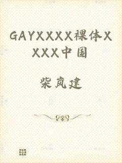 GAYXXXX裸体XXXX中国