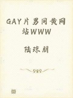 GAY片男同黄网站WWW