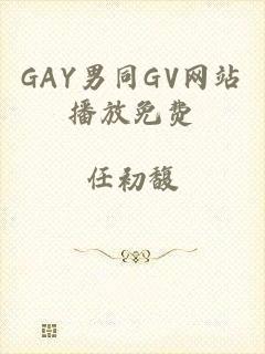 GAY男同GV网站播放免费