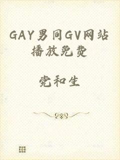 GAY男同GV网站播放免费