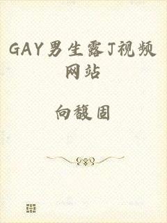 GAY男生露J视频网站