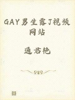 GAY男生露J视频网站