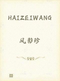 HAIZEIWANG