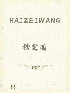 HAIZEIWANG