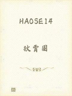 HAOSE14