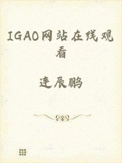 IGAO网站在线观看