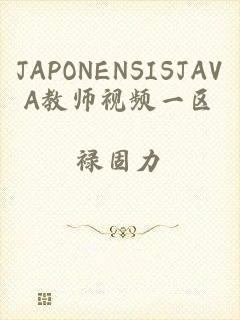 JAPONENSISJAVA教师视频一区