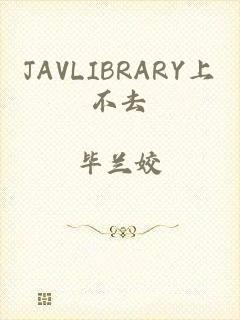 JAVLIBRARY上不去