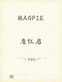 MAGPIE