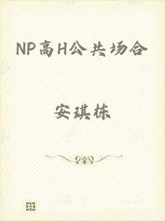 NP高H公共场合