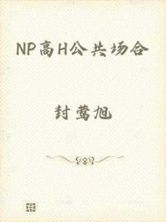 NP高H公共场合