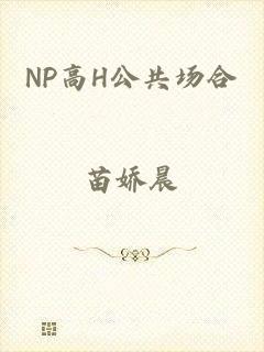 NP高H公共场合