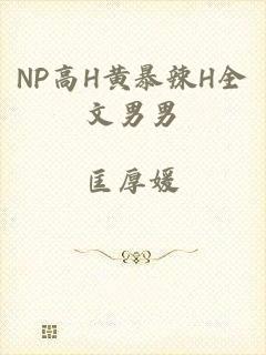 NP高H黄暴辣H全文男男