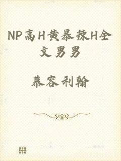 NP高H黄暴辣H全文男男