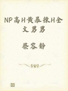 NP高H黄暴辣H全文男男