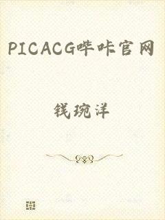 PICACG哔咔官网