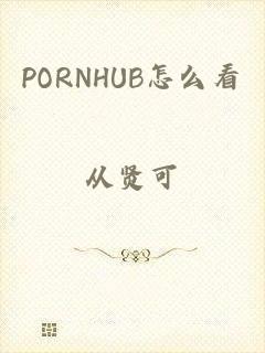 PORNHUB怎么看