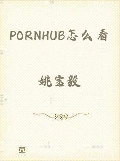 PORNHUB怎么看