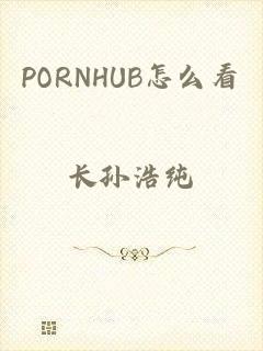 PORNHUB怎么看