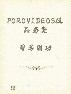 POROVIDEOS极品另类