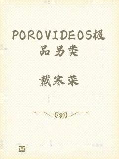 POROVIDEOS极品另类