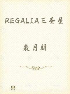 REGALIA三圣星