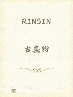 RINSIN