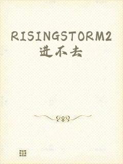 RISINGSTORM2进不去_