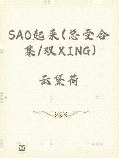 SAO起来(总受合集/双XING)