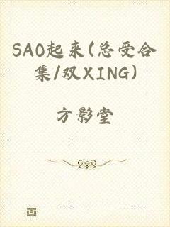 SAO起来(总受合集/双XING)