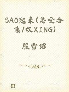 SAO起来(总受合集/双XING)