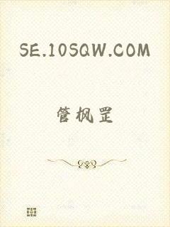 SE.10SQW.COM