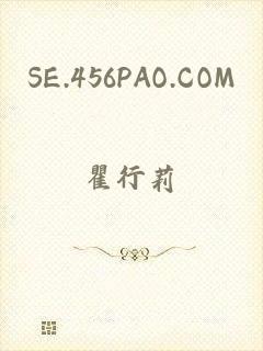 SE.456PAO.COM