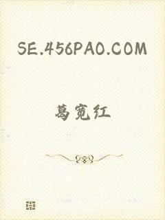 SE.456PAO.COM