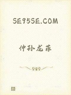 SE95SE.COM