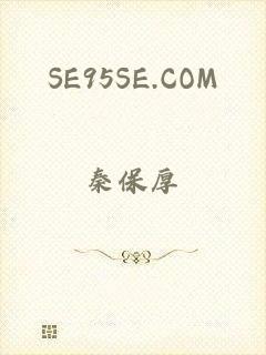 SE95SE.COM