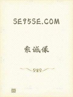 SE95SE.COM