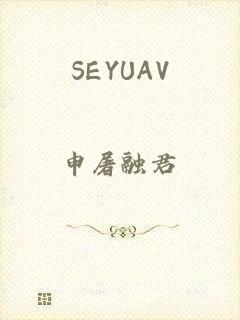 SEYUAV