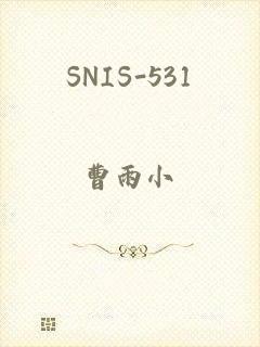 SNIS-531