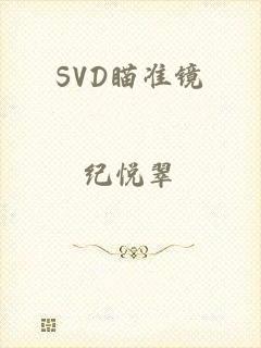 SVD瞄准镜