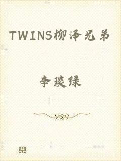 TWINS柳泽兄弟