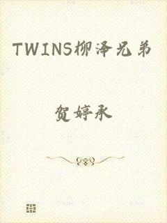 TWINS柳泽兄弟