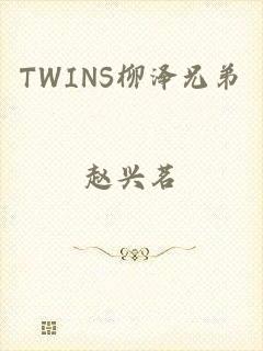 TWINS柳泽兄弟