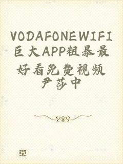 VODAFONEWIFI巨大APP粗暴最好看免费视频