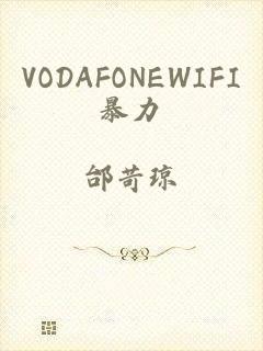 VODAFONEWIFI暴力