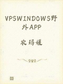 VPSWINDOWS野外APP