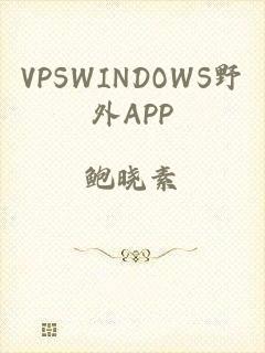 VPSWINDOWS野外APP