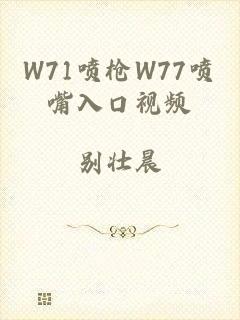 W71喷枪W77喷嘴入口视频