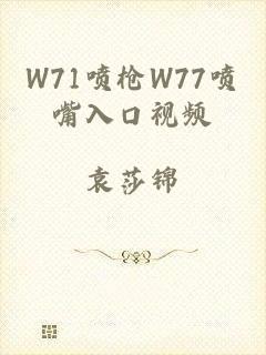 W71喷枪W77喷嘴入口视频