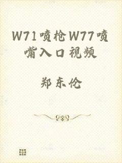 W71喷枪W77喷嘴入口视频